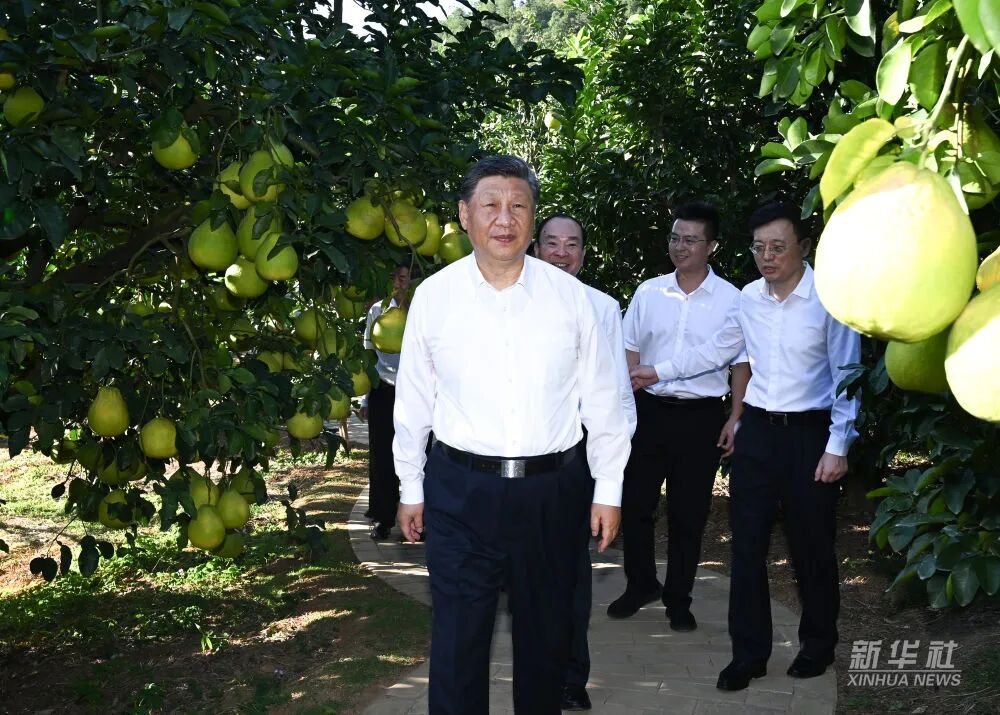 ����ϣ����williamhill(�й�)���Ĺٷ���վ